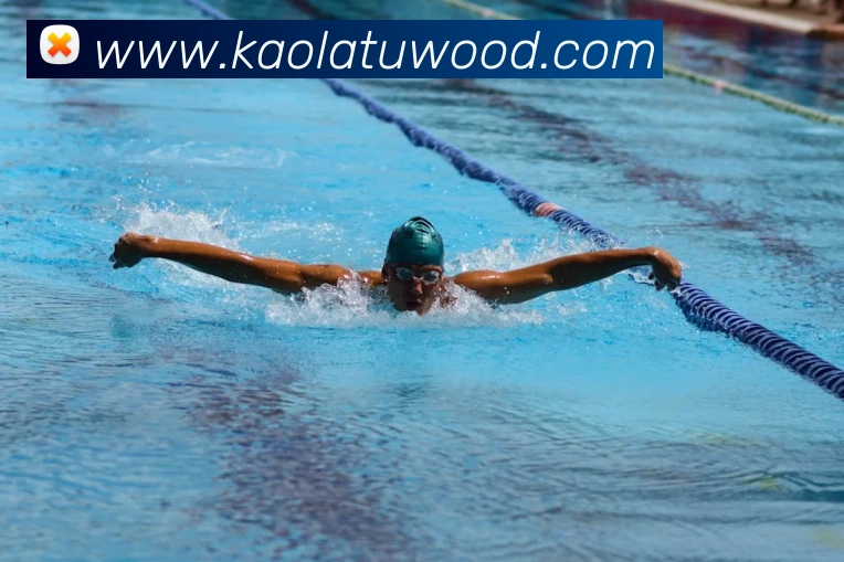 多媒体互动体验